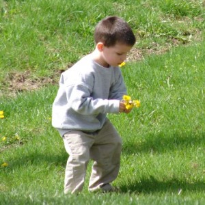 Jonathan picking dandelions for mom
