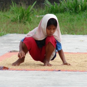 Agutaynen girl drying rice on the basketball court
