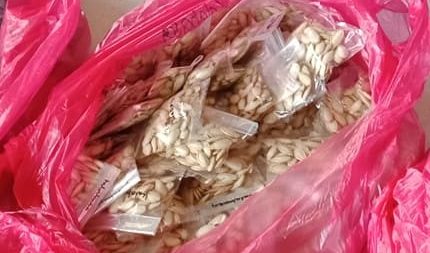 Seeds of Life