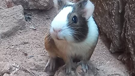 Hi from West Africa!