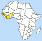 I’m heading towards West Africa!