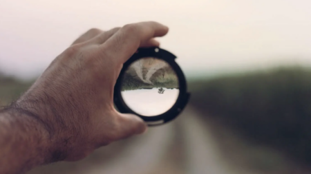 Refreshed Focus