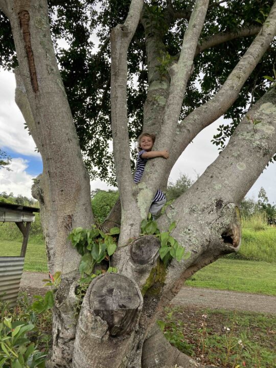 Hannah's new found love of tree climbing!
