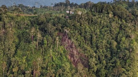 The Long Haul | Travis and Becky Lesicka